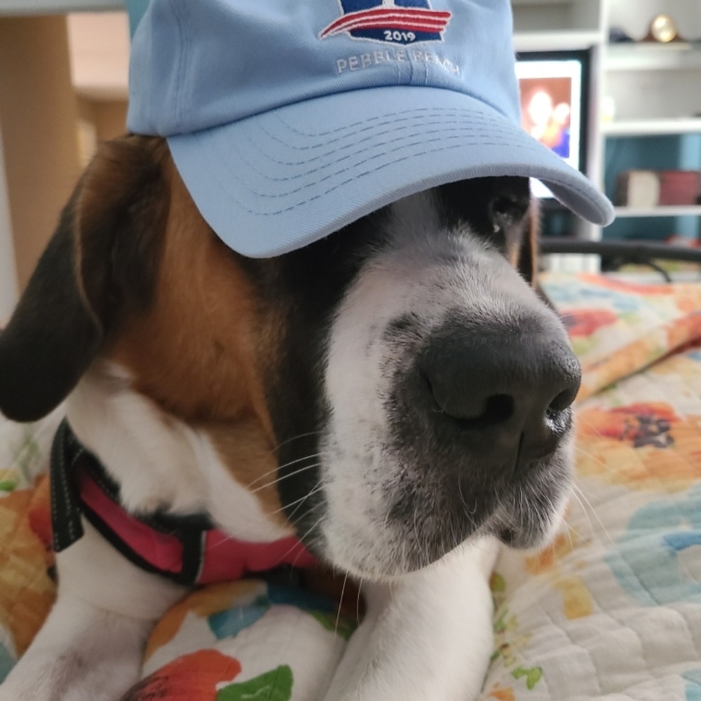 Meet your Posher, Payton